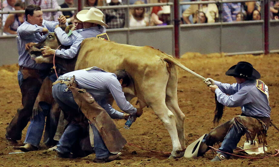 Ranch Rodeo Finals closes out Stock Show San Antonio ExpressNews