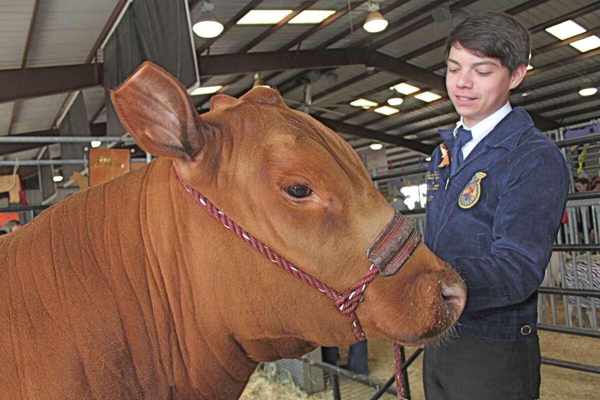 Houston's public high schools get graded