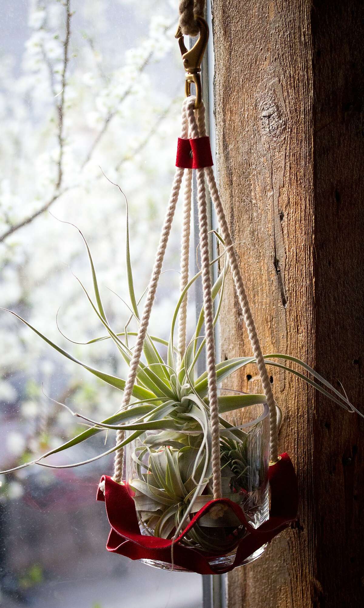 �Suede &amp; Rope� hanging plant holder