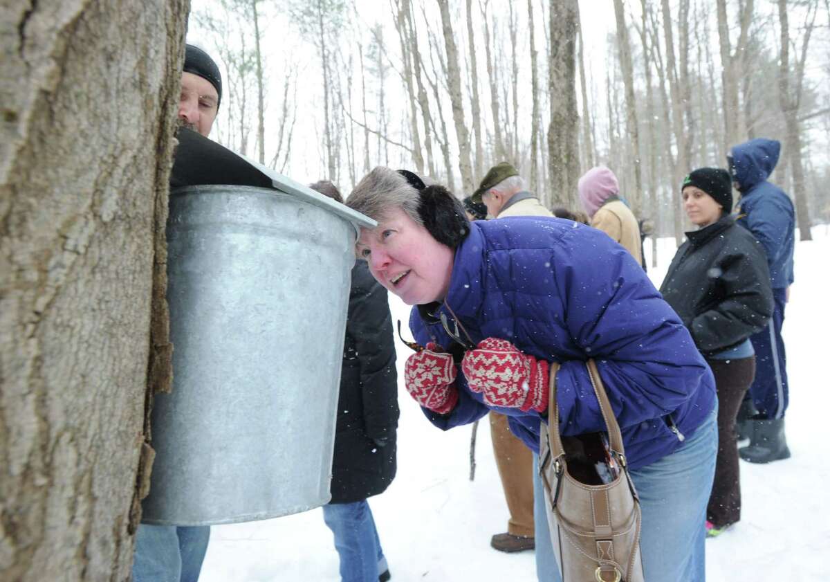 Kara Donahue of Riverside views a sap bucket attach to a maple tree during the Greenwich Land Trust winter nature walk at Duck Pond Hill, Greenwich, Conn., Tuesday, Feb. 25, 2014. Steve Conaway, a stewardship & outreach manager for the trust, led the tour and spoke about how wildlife survives the winter and how to identify trees and plants without their leaves.
