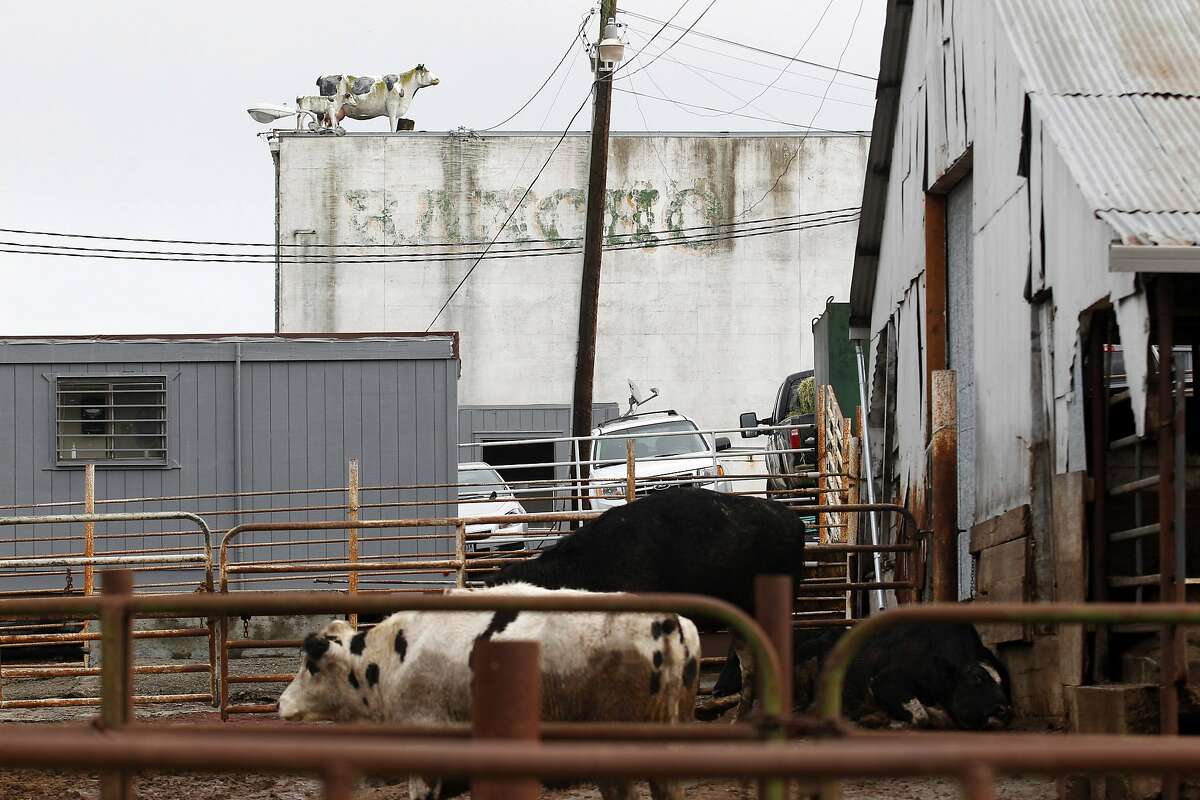 Marin Sun Farms gets the OK for Petaluma slaughterhouse