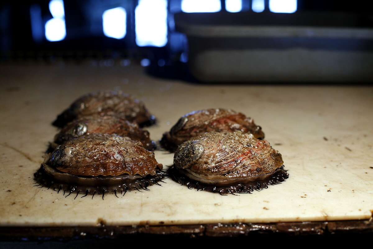 Tasty abalone carefully farmed under Monterey's wharf