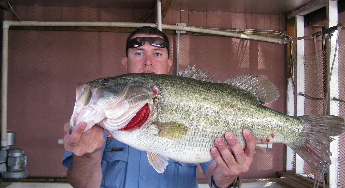 Texas angler breaks alligator gar record twice