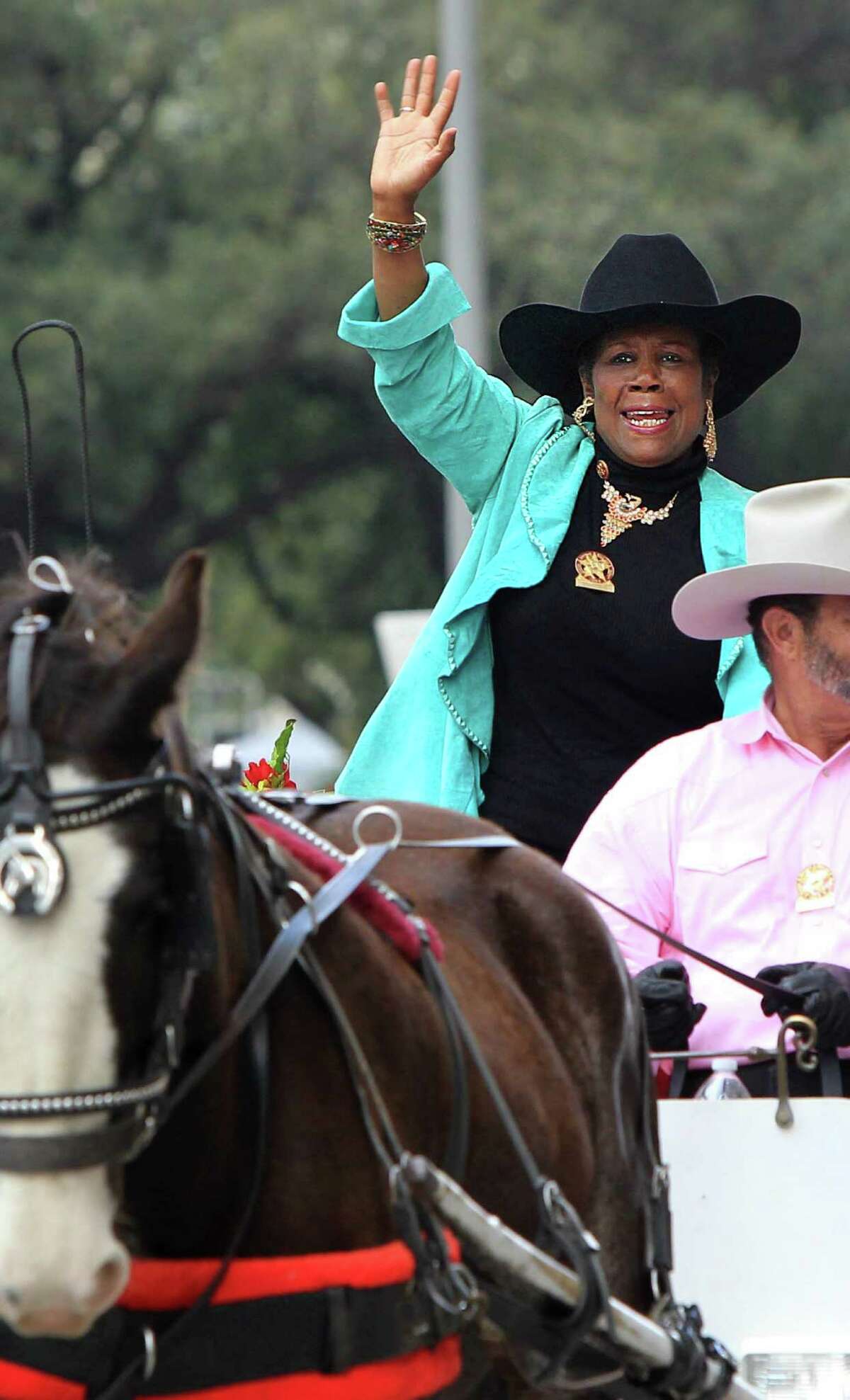 Sheila Jackson Lee's causes