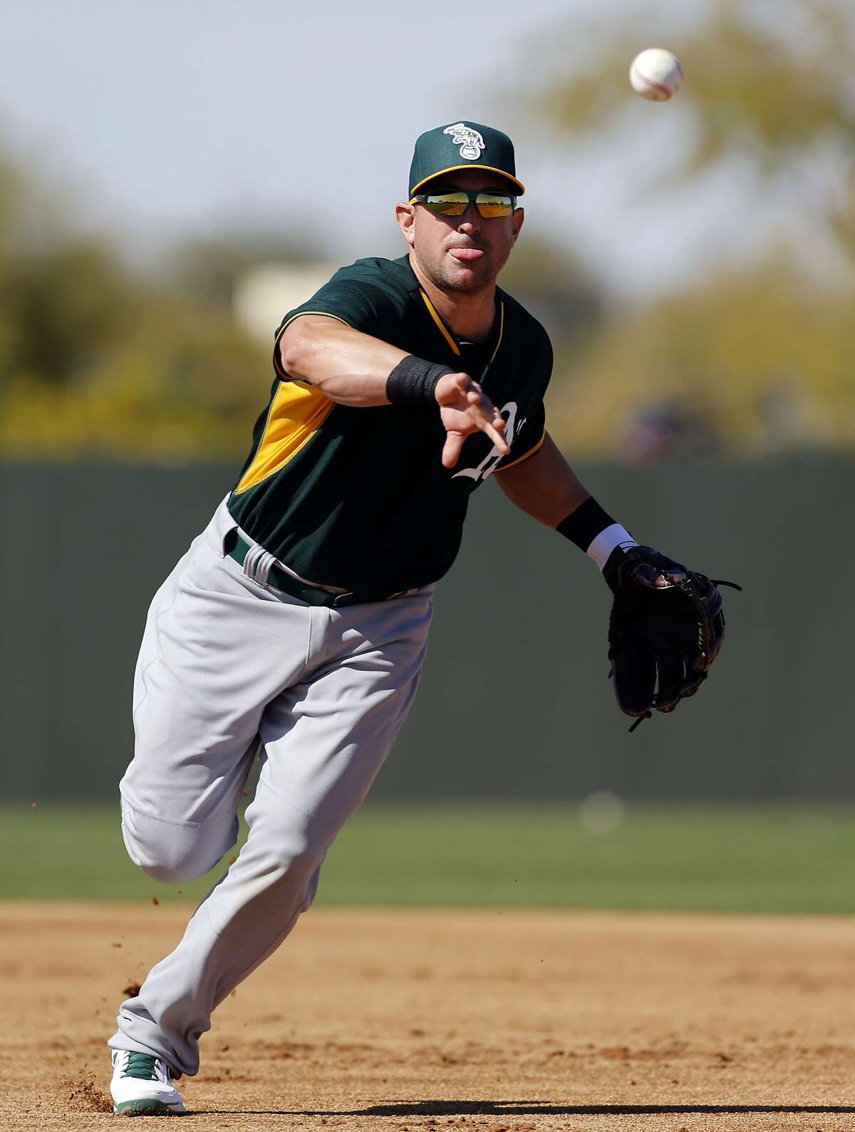 A's infielder Nick Punto, (1) tosses to first base during drills at the Papago Baseball Facility in Phoenix, Arizona on Thursday Feb. 20, 2014. The Oakland Athletics continue their spring training schedule in the Arizona desert in preparation of the 2014 MBL season.