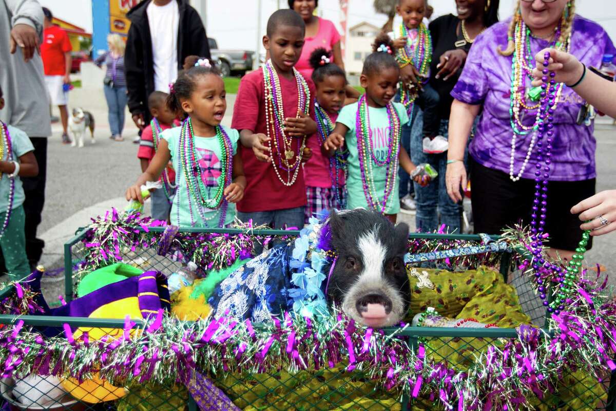 steal my beads mardi gras game