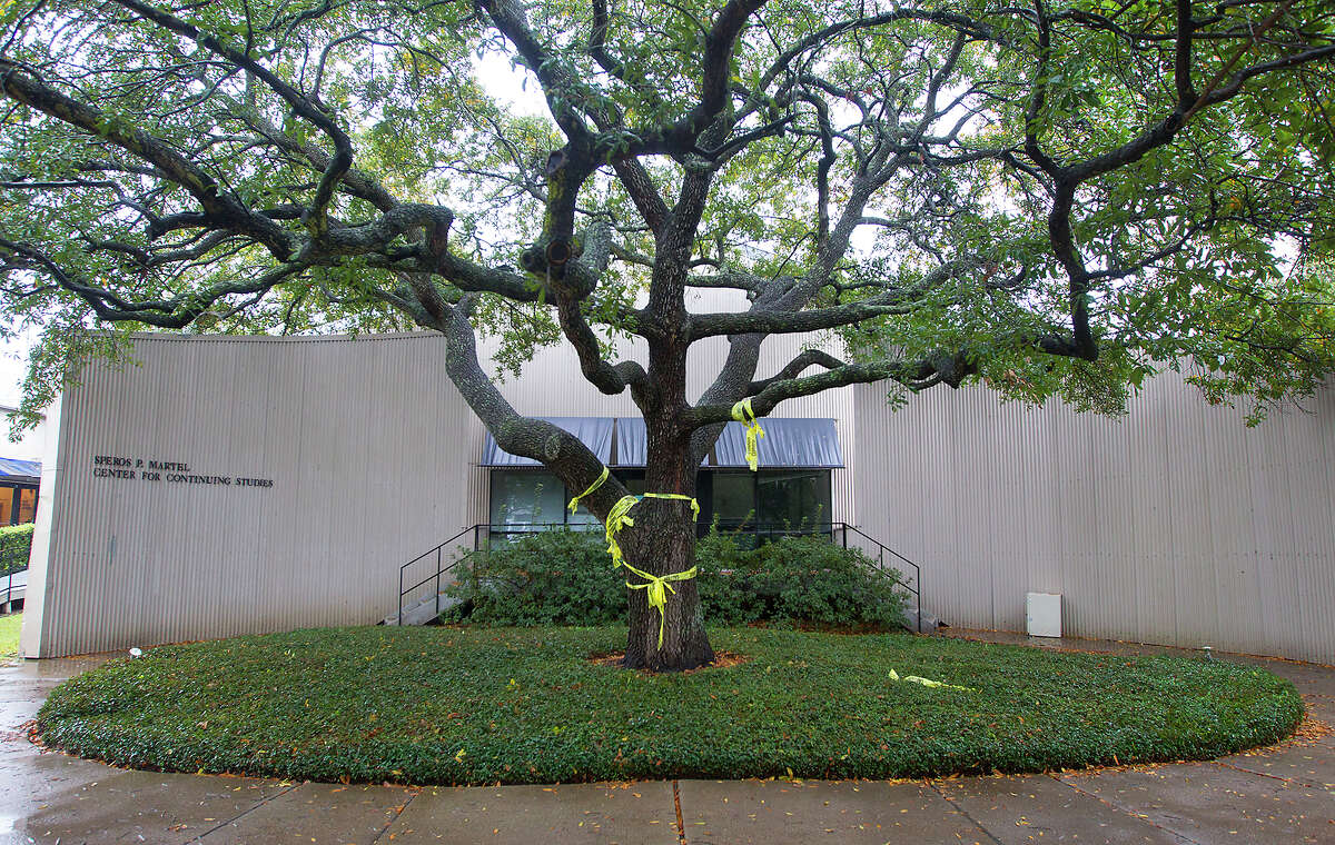 A tree wrapped in caution tape is seen in front of the Martel Center, "Art Barn," at Rice University, Tuesday, March 4, 2014, in Houston. Rice University has opted to tear down an historic building constructed by legendary Houston art icons the Menils in what some are calling an "insult" to their history. The Martel Center was built in 1969 by architects Howard Barnstone and Eugene Aubry and has housed works by the likes of Andy Warhol, Edward Kienholz and pioneering American artist and sculptor Joseph Cornell. (Cody Duty / Houston Chronicle)