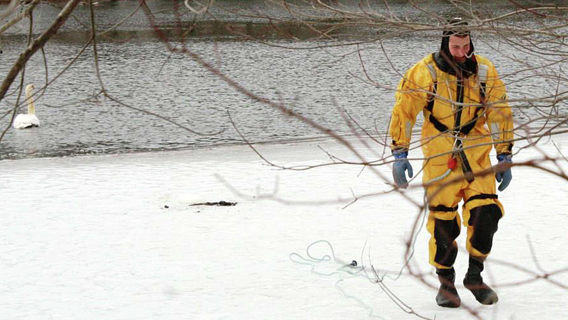 Frozen swan was a sitting duck till firefighters came to the rescue