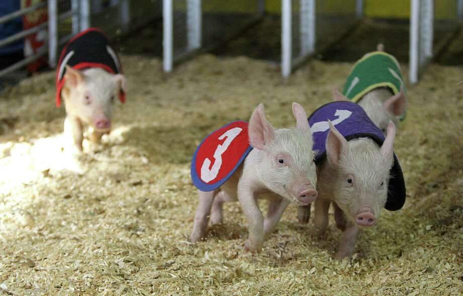 Something for everyone at the rodeo - Houston Chronicle