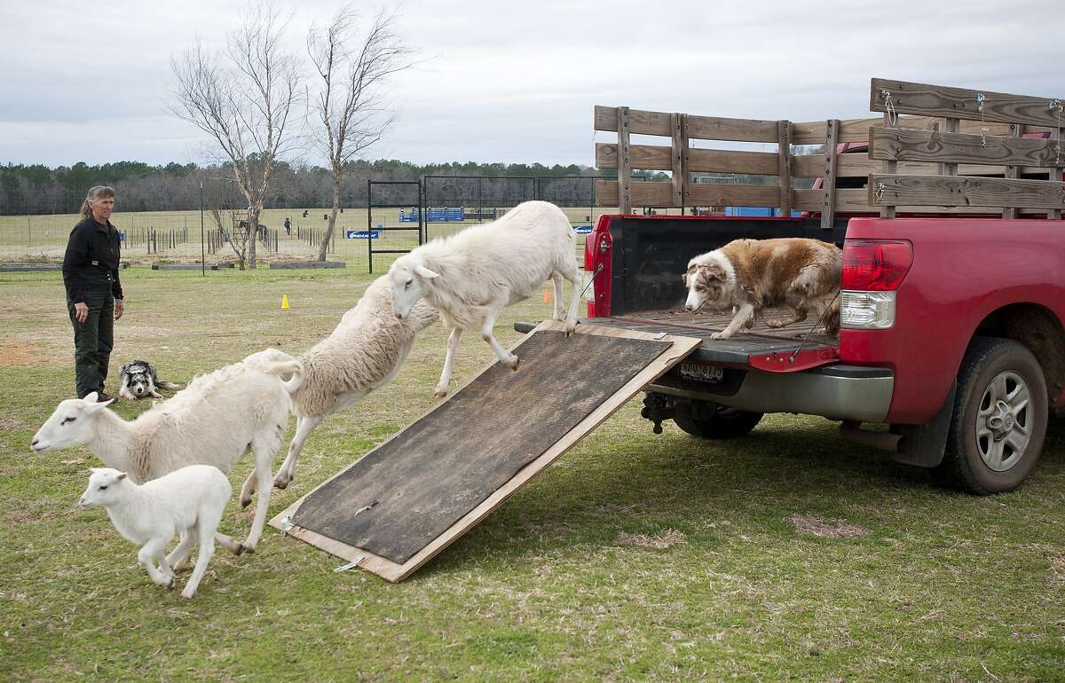 Day in Pictures, March 6, 2014