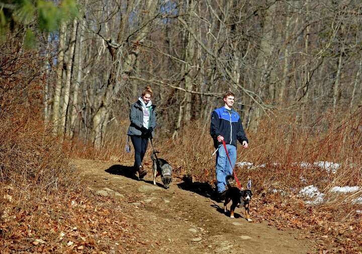 Where to take your dog around SW Connecticut