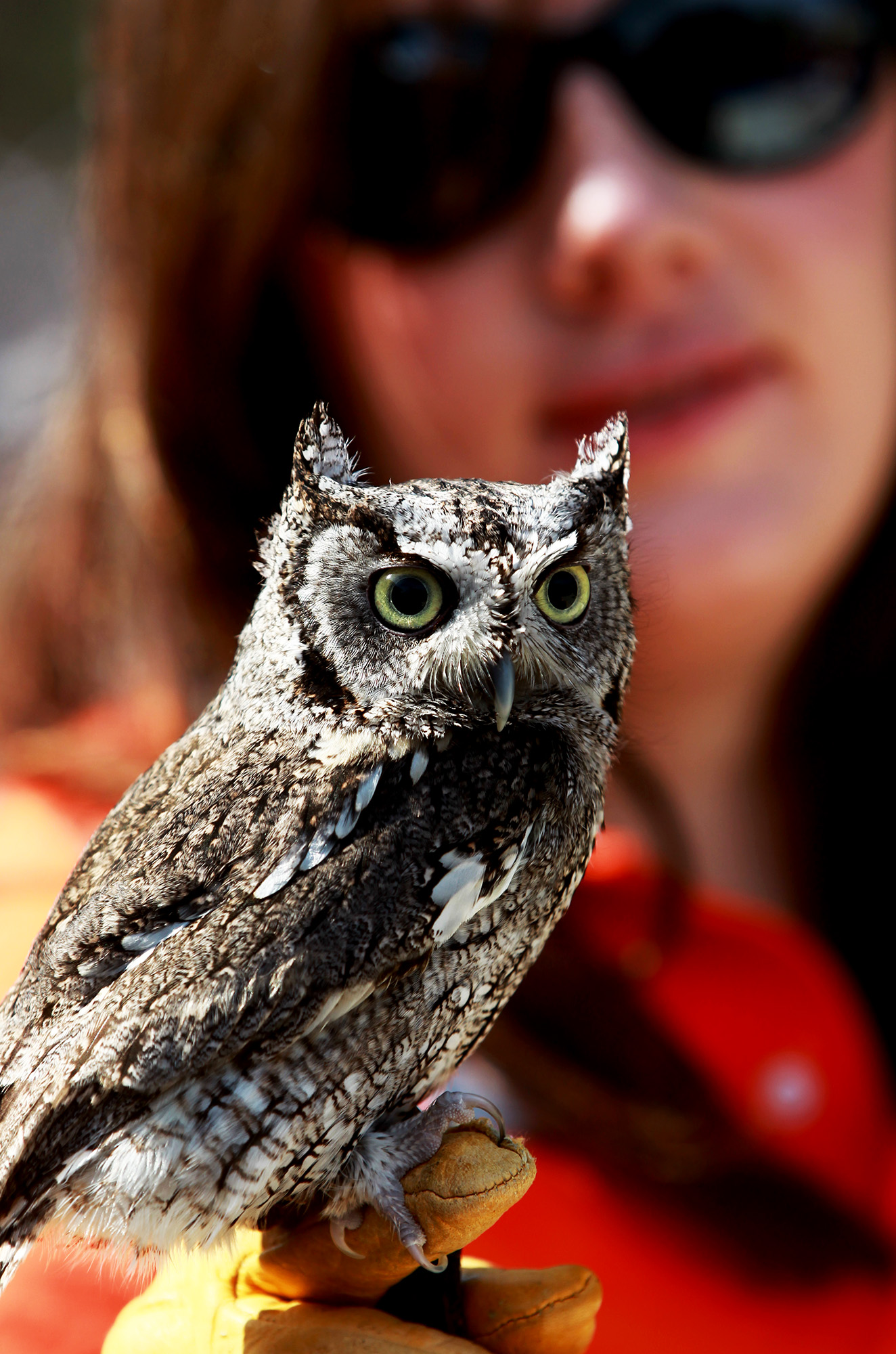 Dawn Koehler's Instagram, Twitter & Facebook on IDCrawl