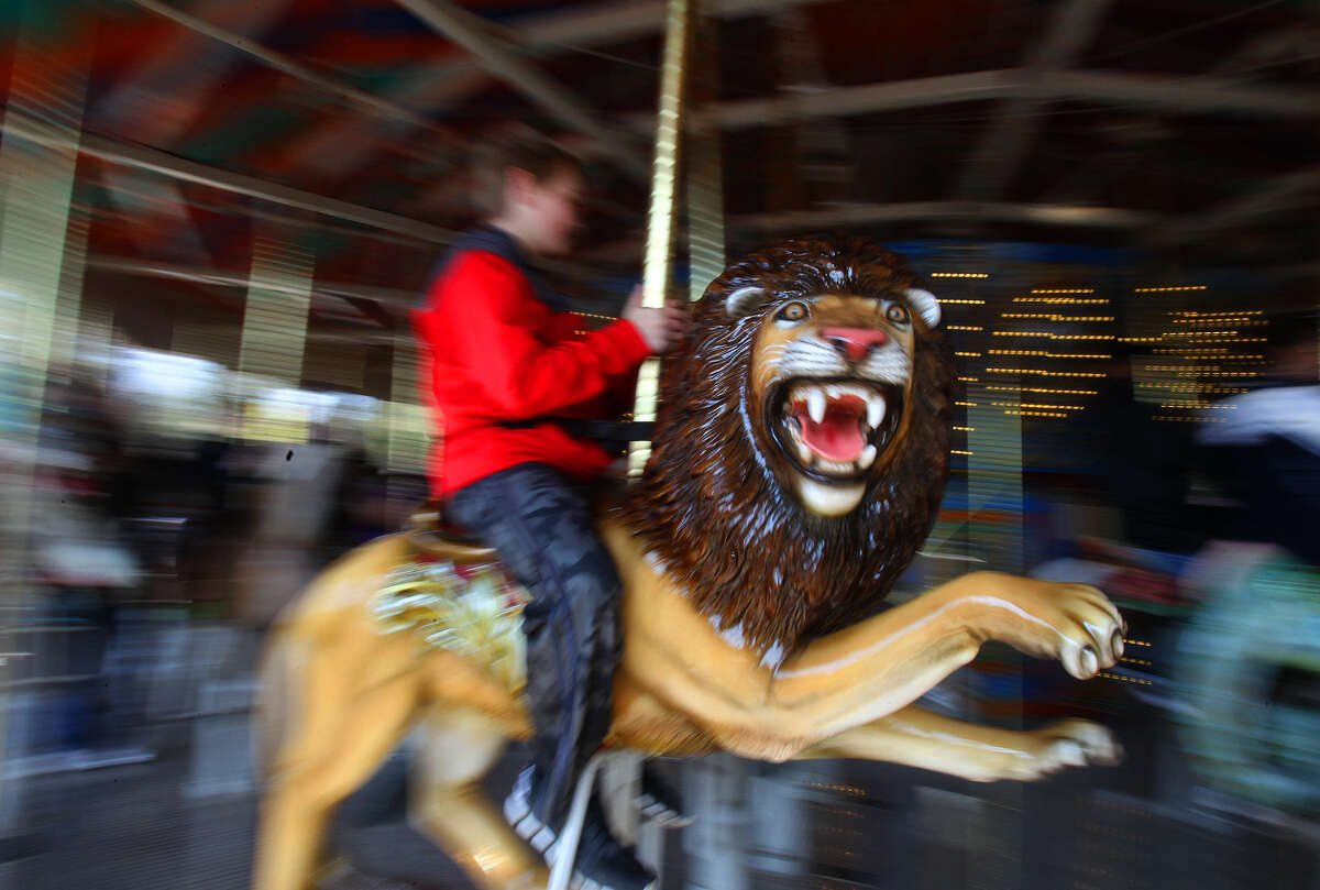 A lion figure twirls by on the new carousel ride Friday March 7, 2014 during the opening of Zootennial Plaza at the San Antonio Zoo. The new $8 million project marks the zoo's 100th anniversary and features a restaurant and gathering area also.