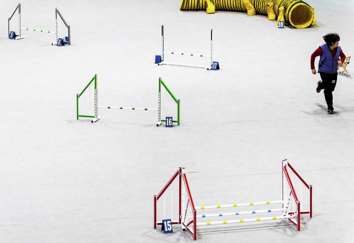 Seattle Kennel Club's 137th annual AllBreed Dog Show