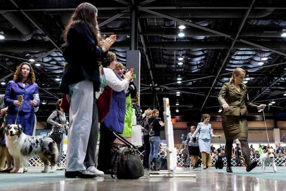Seattle Kennel Club's 137th annual AllBreed Dog Show