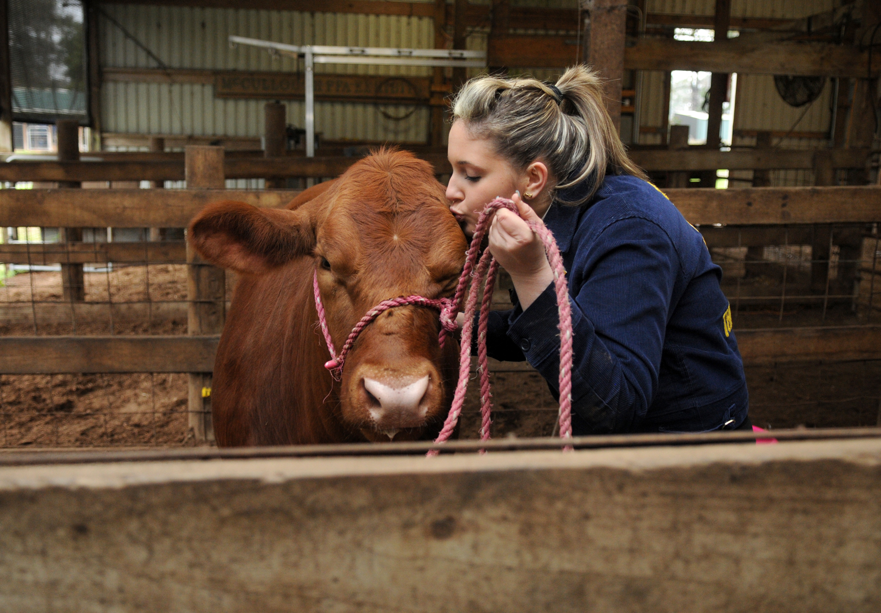 Today's FFA: From master-planned community to farm - Houston Chronicle