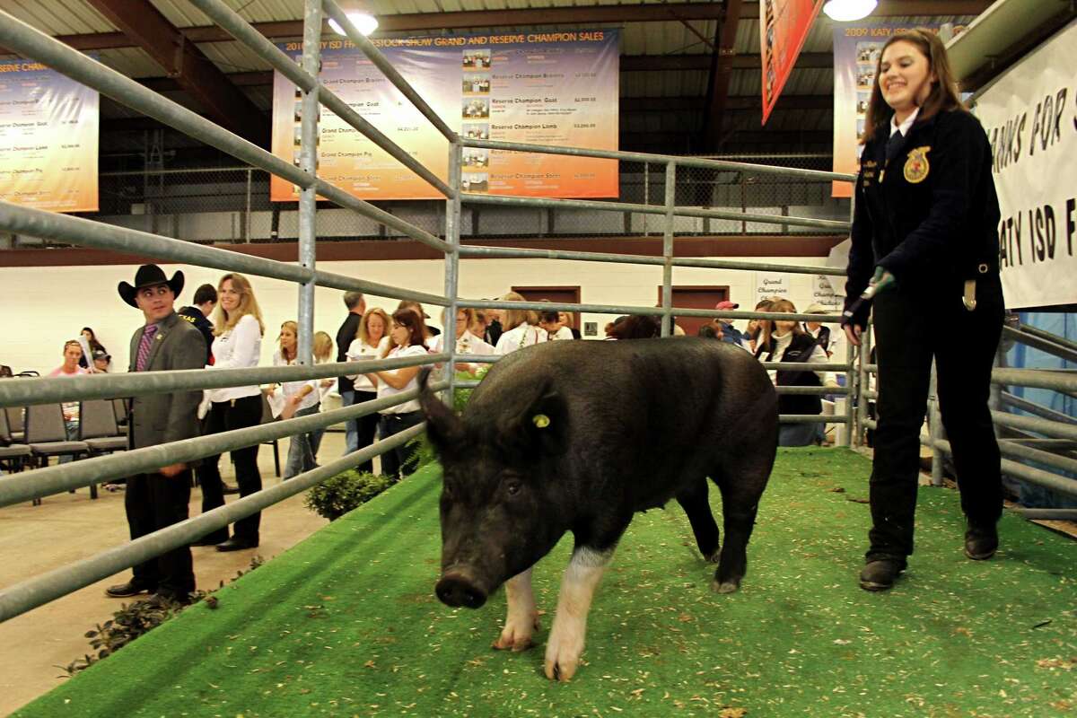 Katy High FFA student repeats mother's success