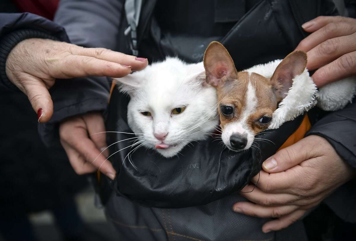 Day In Pictures March 11 2014