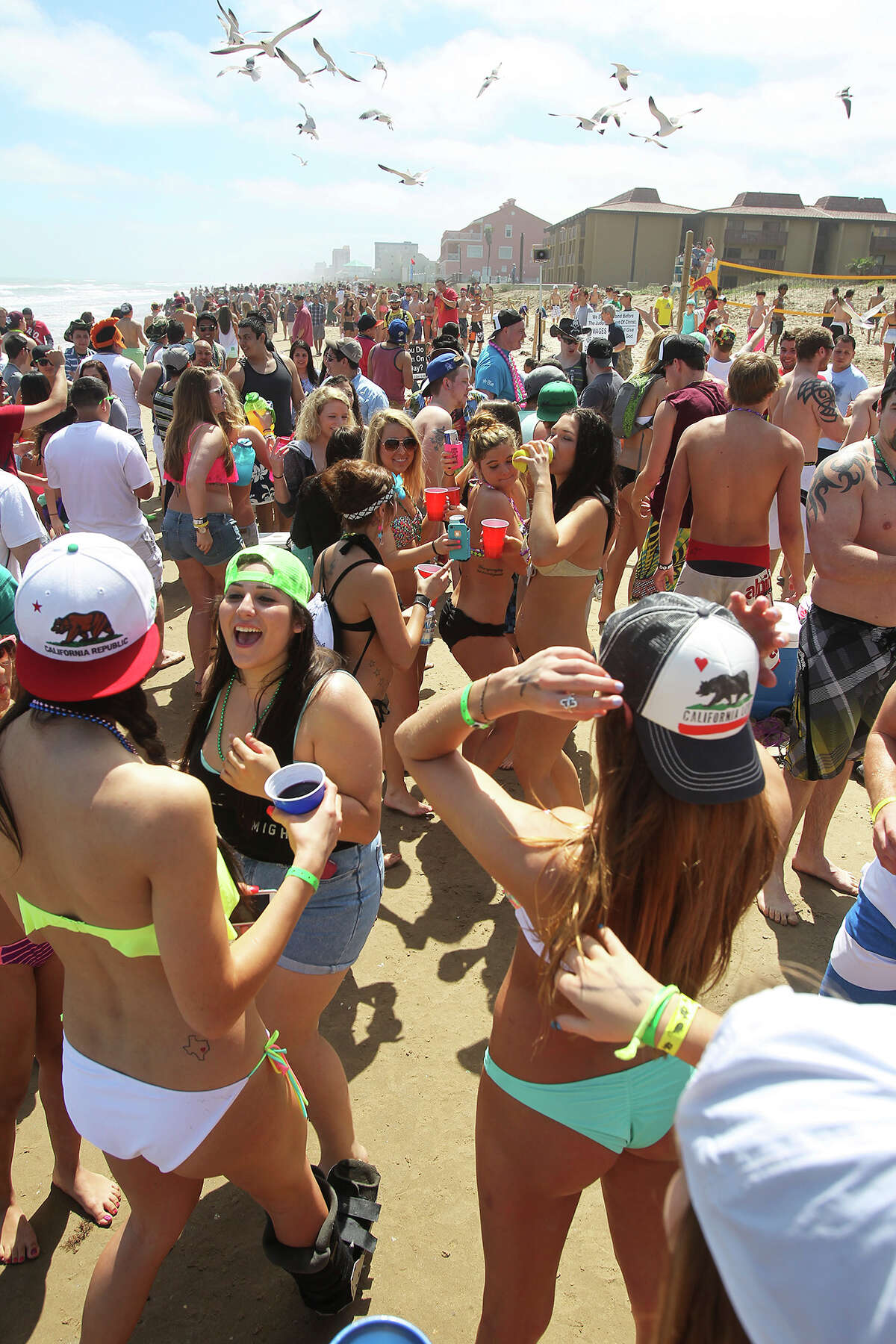 With the sun out, Spring Breakers emerge