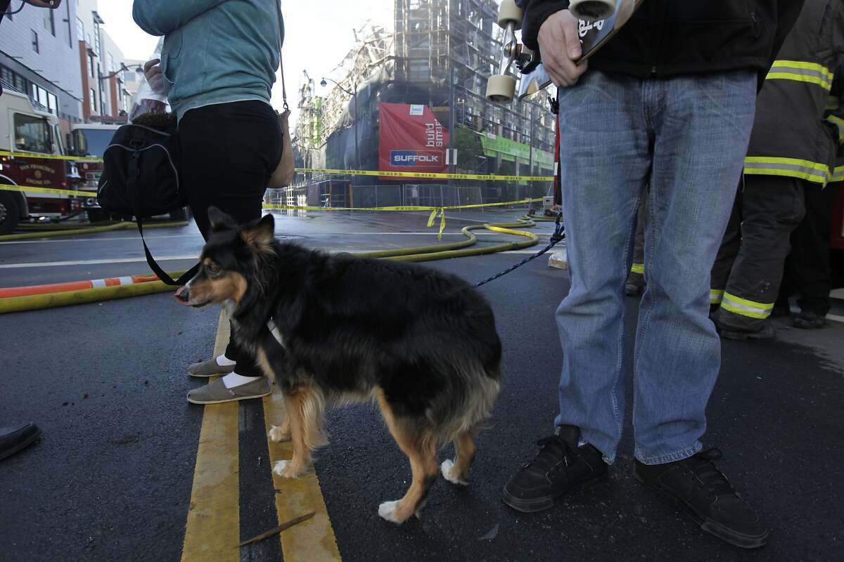 Heather and Adam Reese wait with their dog Maya to see when they can return to their apartment building across the street from the fire scene in San Francisco, Calif. on Wednesday, March 12, 2014.