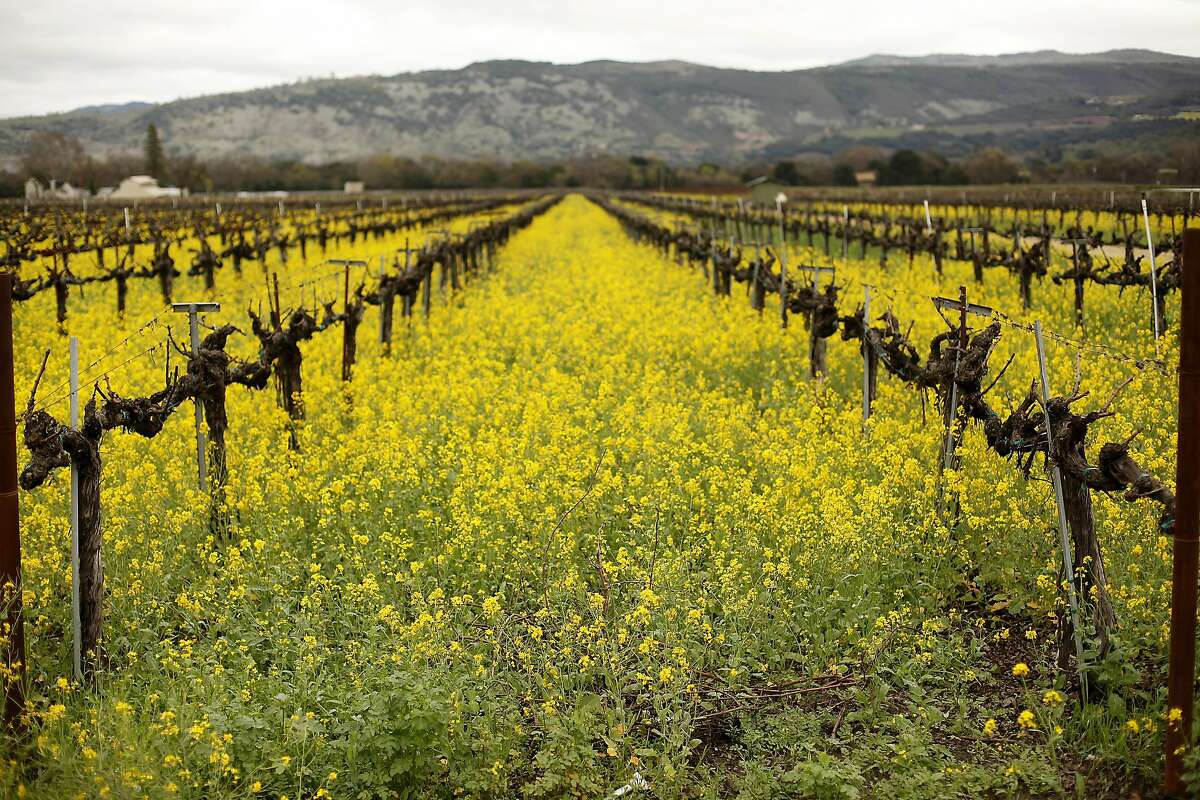 The most scenic routes near the Bay Area