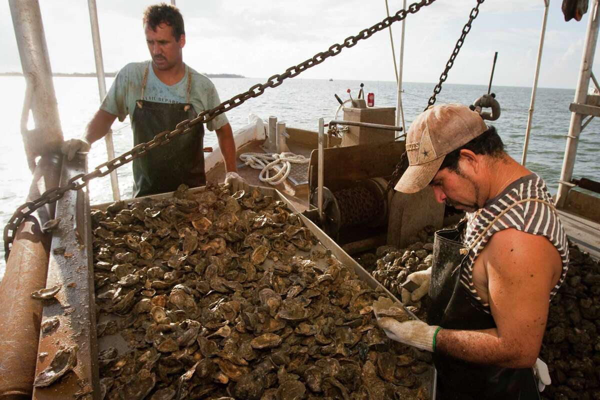 Algae bloom closes Galveston Bay to oyster fishing