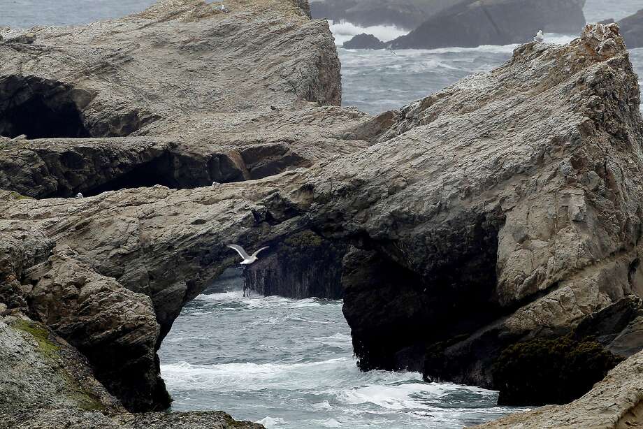 Mendocino's Crown Jewels: Exploring the State Parks That Steal Your Heart