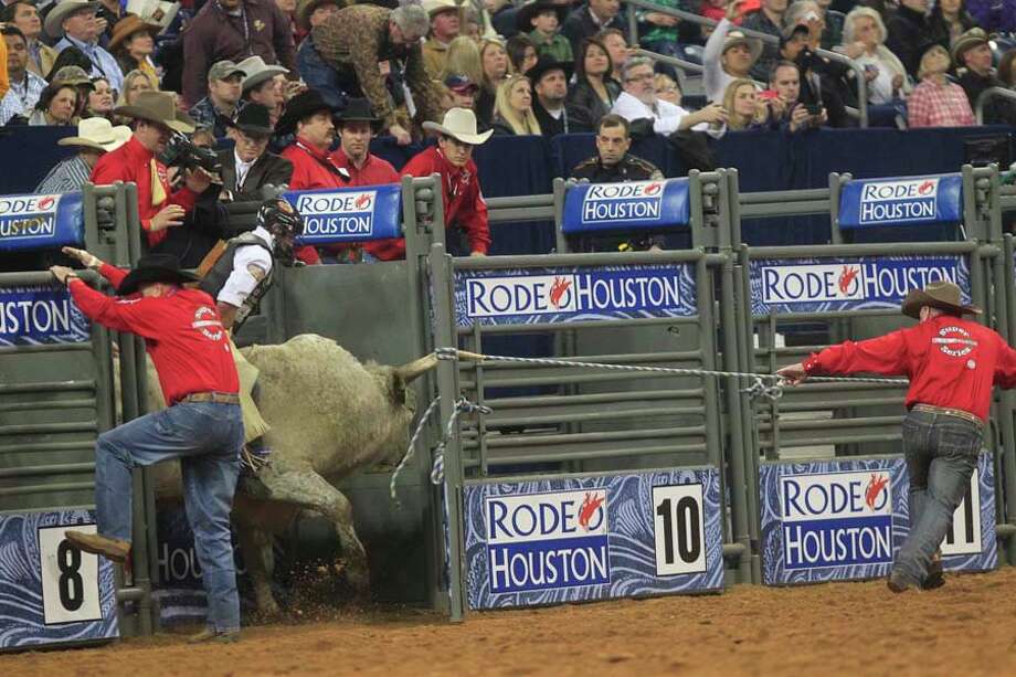 Bull riding at the rodeo gets closer look Houston Chronicle