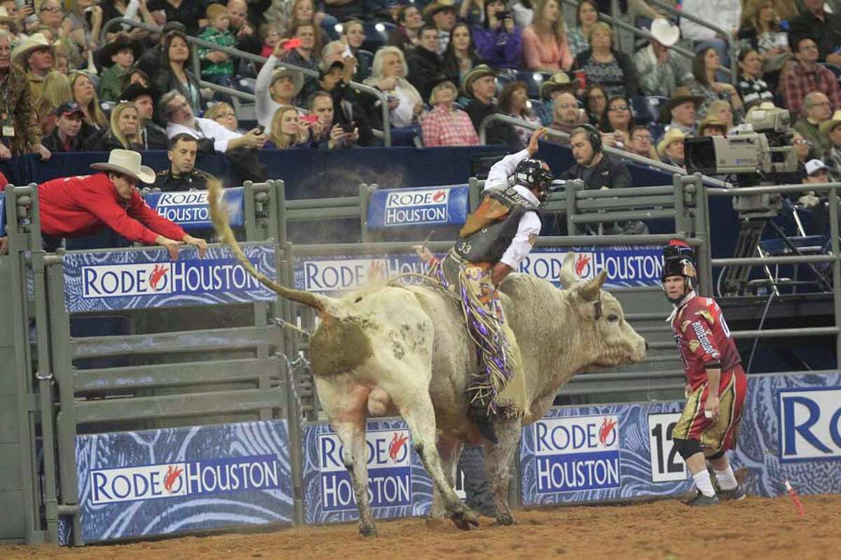 Bull riding at the rodeo gets closer look
