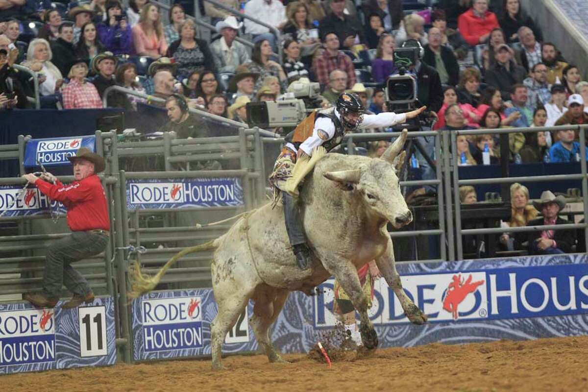 Bull riding at the rodeo gets closer look