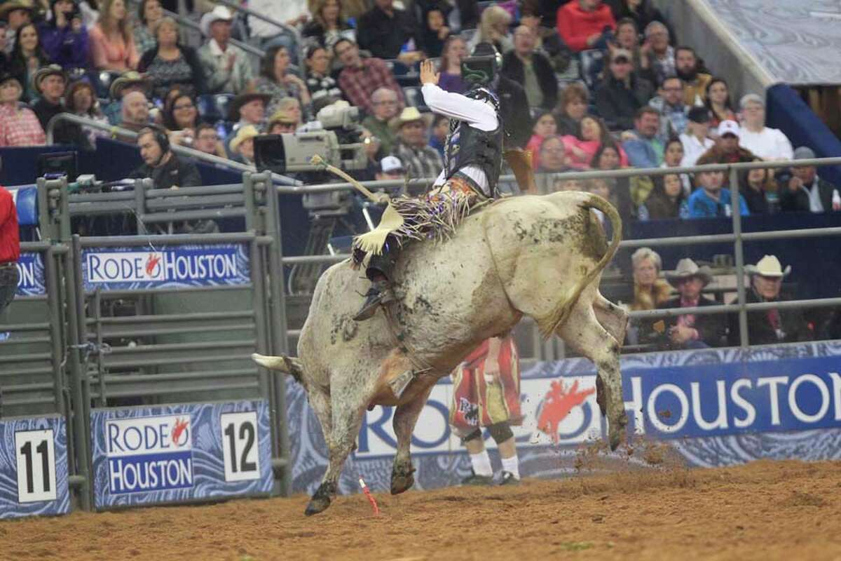 Bull riding at the rodeo gets closer look