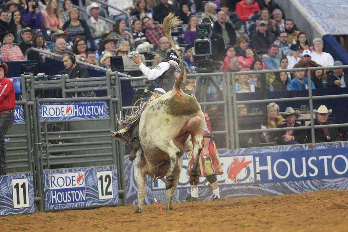 Bull riding at the rodeo gets closer look