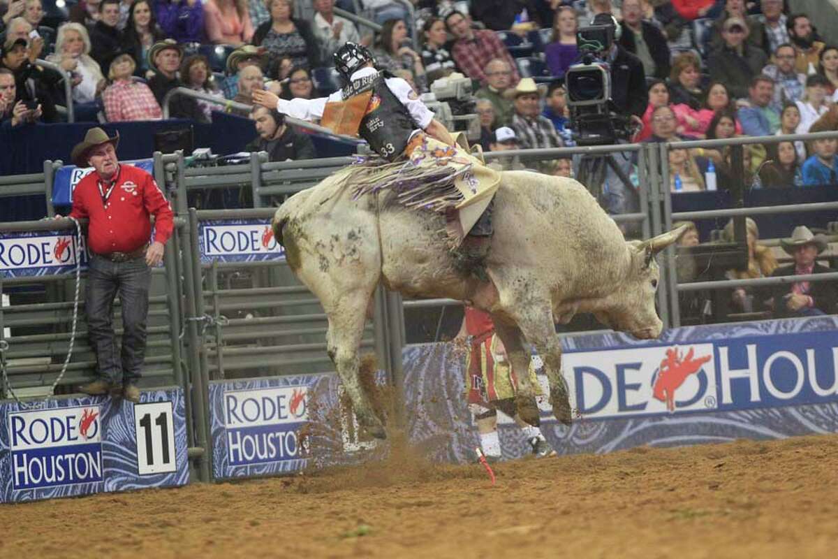 Bull Riding At The Rodeo Gets Closer Look