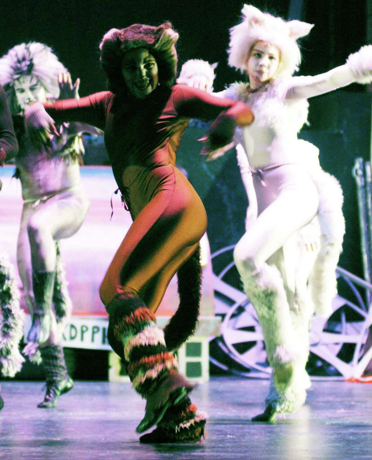 'Cats' the musical dances into town