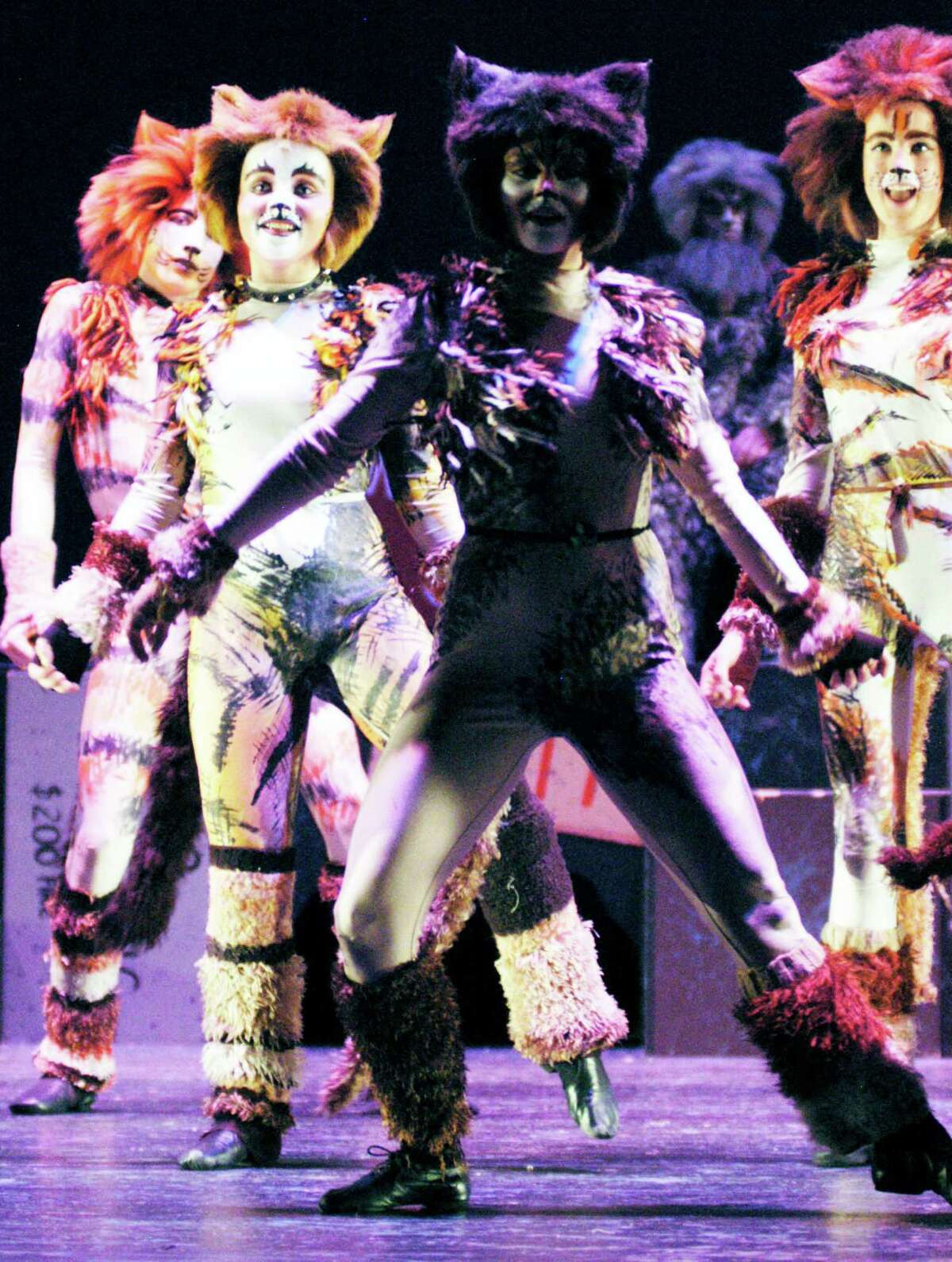 'Cats' the musical dances into town