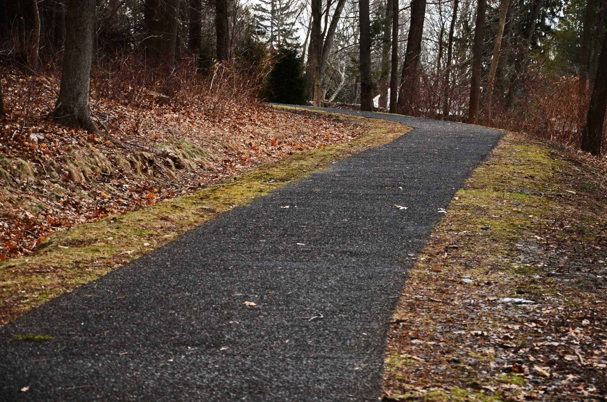 Town to install more Flexi-Pave at Irwin Park