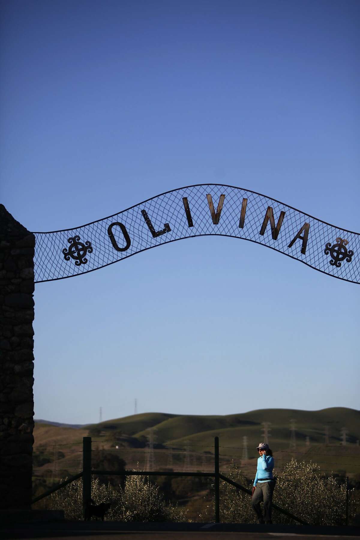 A pedestrian passes behind an arch marking one corner of The Olivina olive oil estate on March 13, 2014 in Livermore, Calif. The arch sits on a public-access bike path.