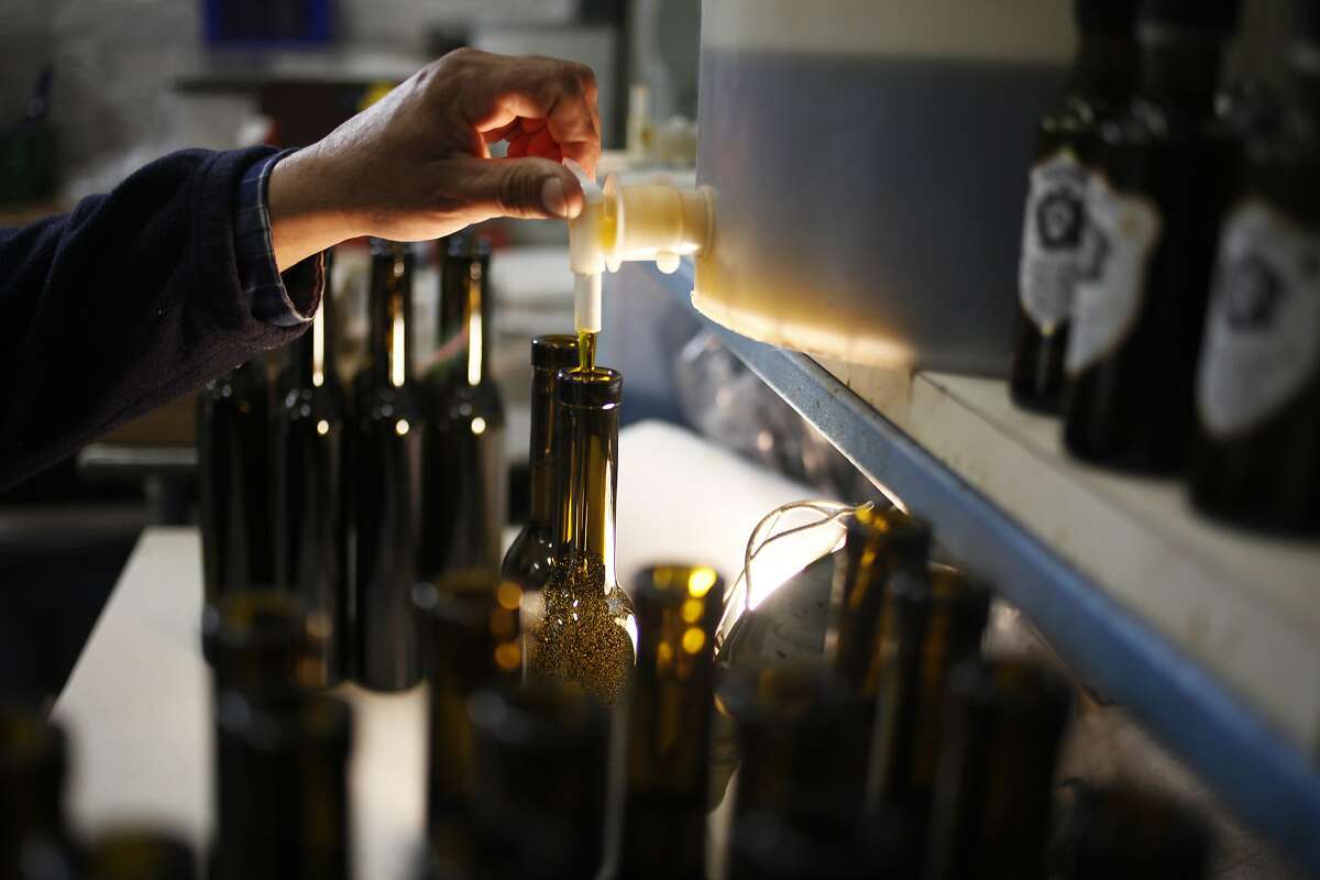Miguel Ramirez bottles olive oil at The Olivina on March 13, 2014 in Livermore, Calif.