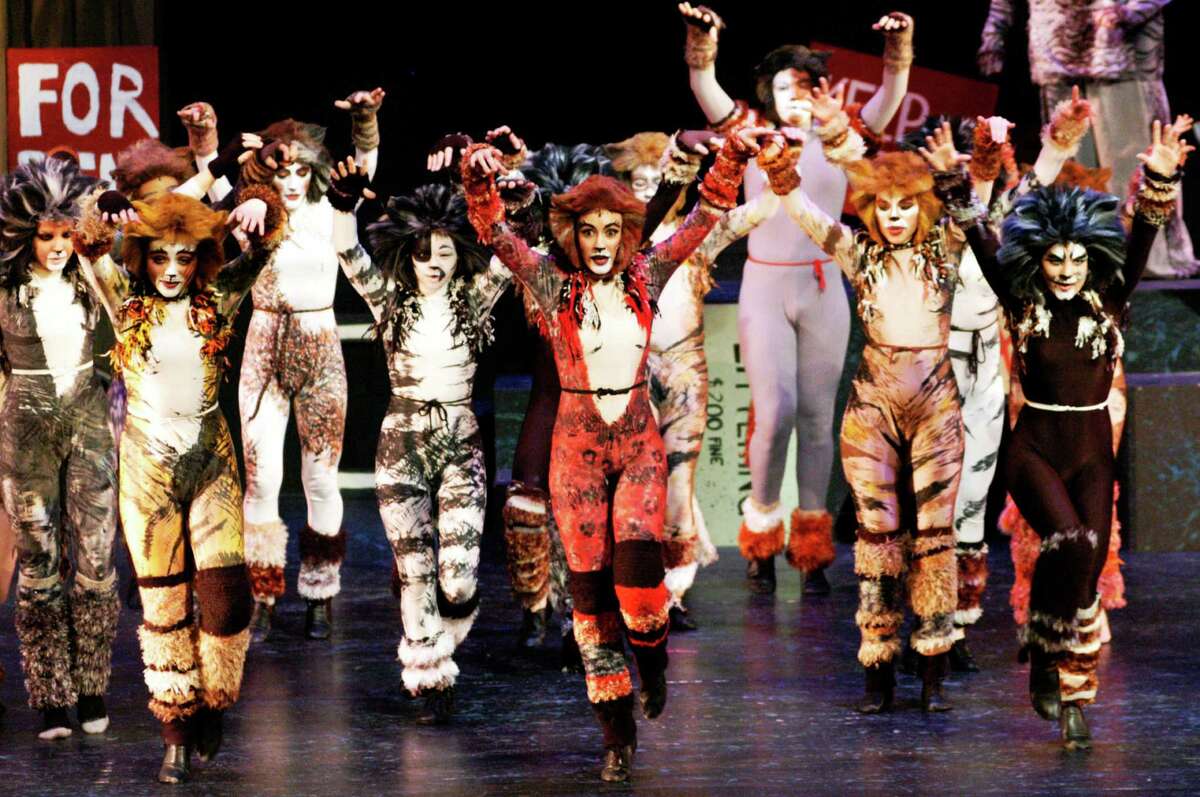 'Cats' the musical dances into town