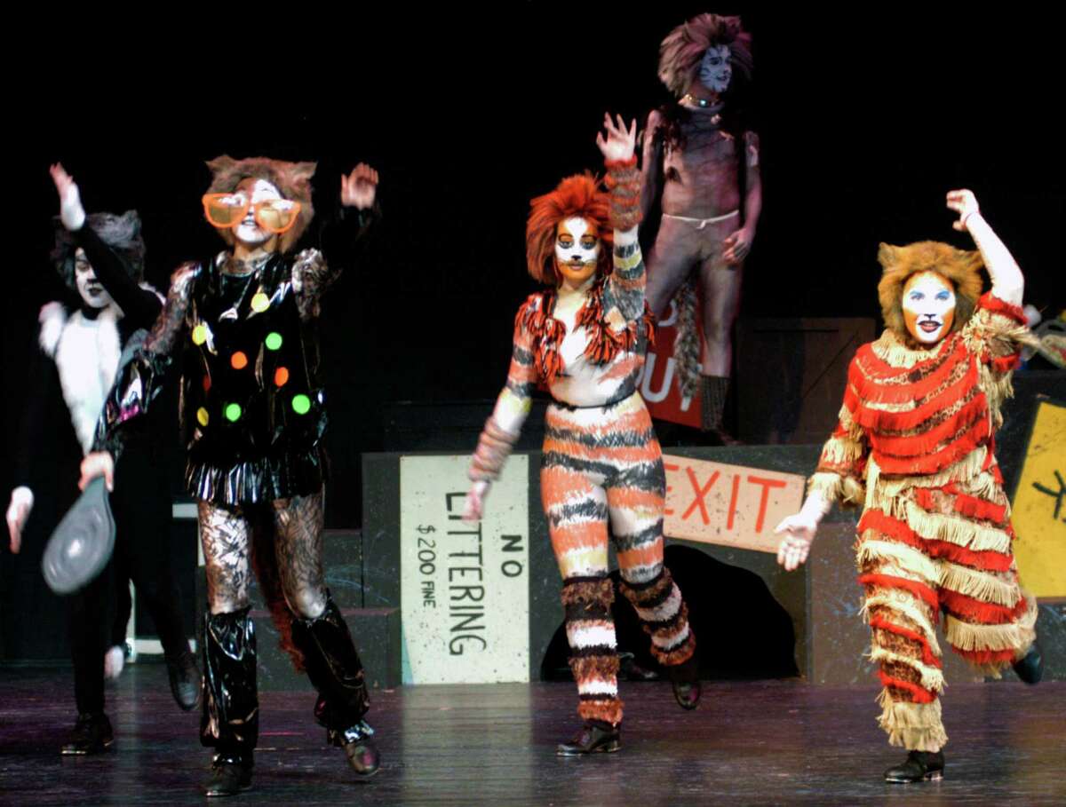 'Cats' the musical dances into town