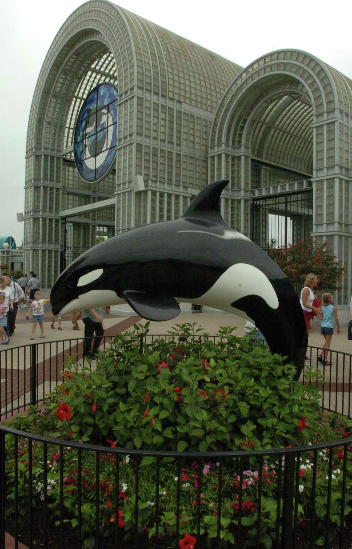 SeaWorld celebrated its 50th anniversary Friday, March 21, and we've compiled memorable moments since the San Antonio park opened 26 years ago. Click through the photos to see the following moments in photos.