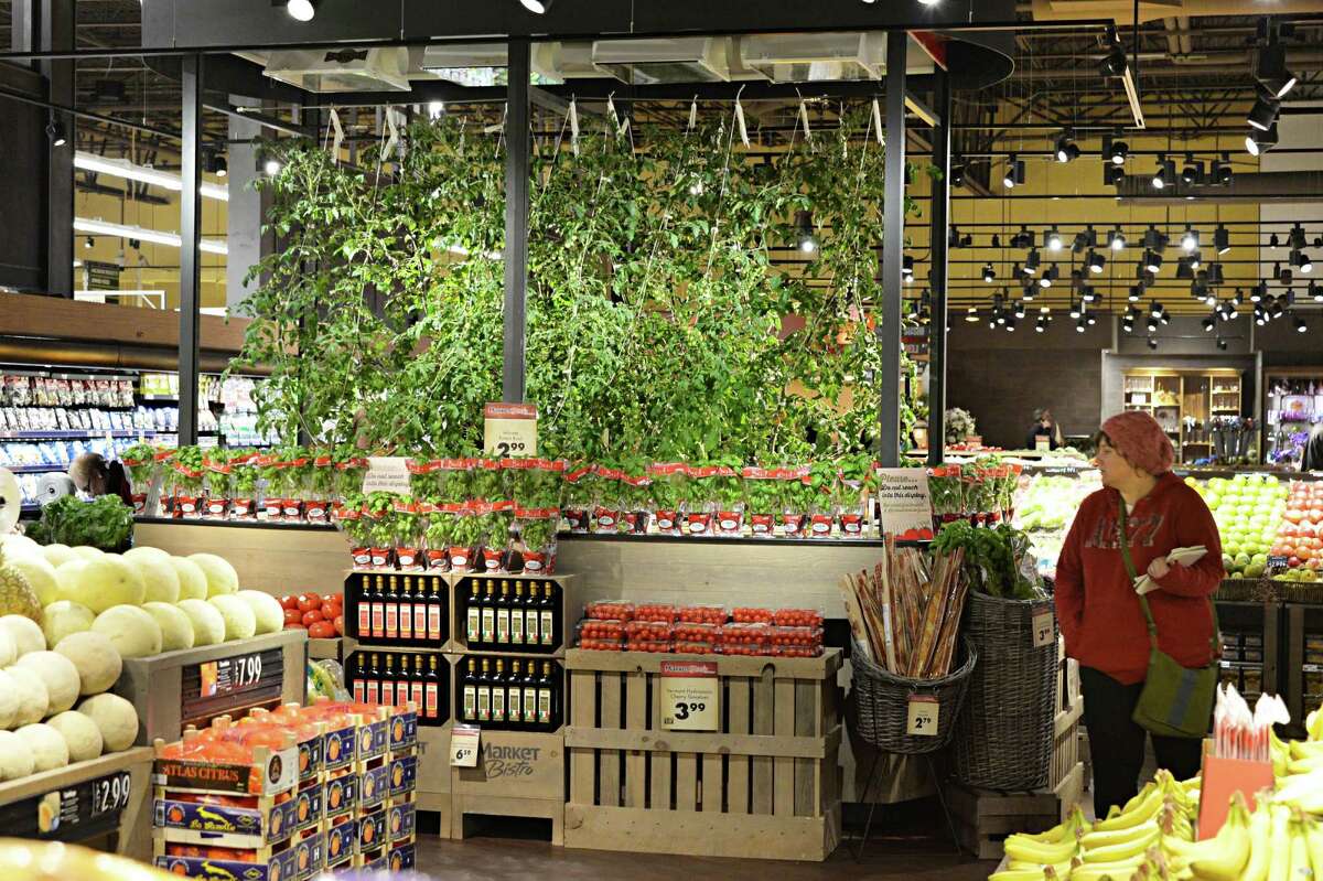 First ever attempt to grow hydroponic fruit in a supermarket at Price Chopper's new Market Bistro Thursday March 20, 2014, in Colonie, N.Y. (John Carl D'Annibale / Times Union)