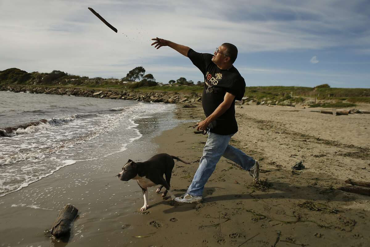 Marco Becerra of Oakland plays with his dog Wally and Baxter (not seen) at Albany Beach in Albany, Calif., on Thursday, March 20, 2014. The Sierra Club and several other organizations are suing the East Bay Regional Park District over Albany Beach. They say the district needs to be tougher on off-leash dogs in order to preserve the habitat for birds, and generally be safer for visitors.