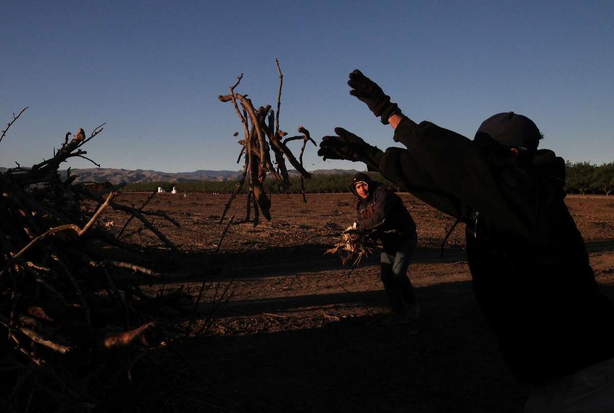 California drought How water crisis is worse for almonds