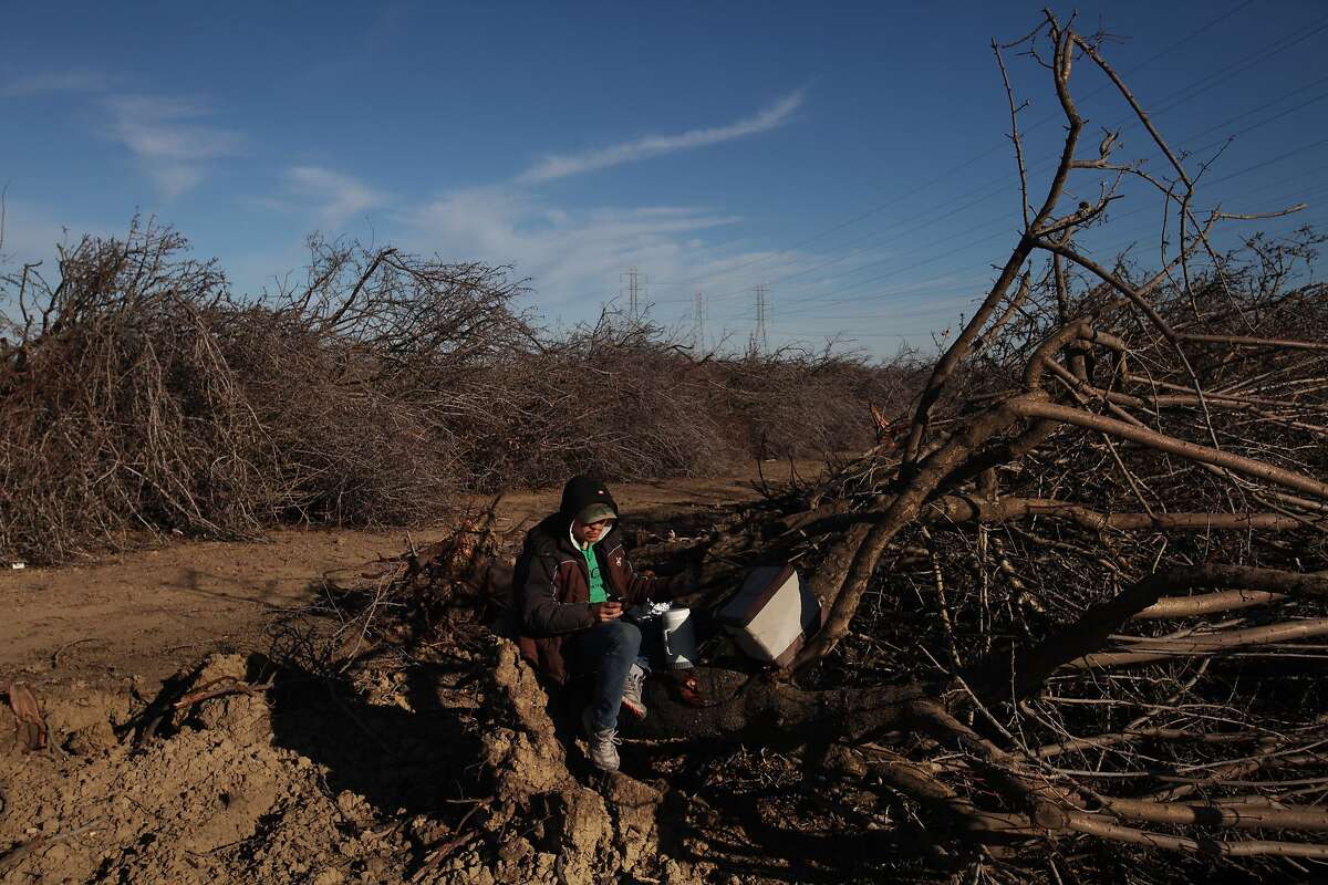 California drought How water crisis is worse for almonds