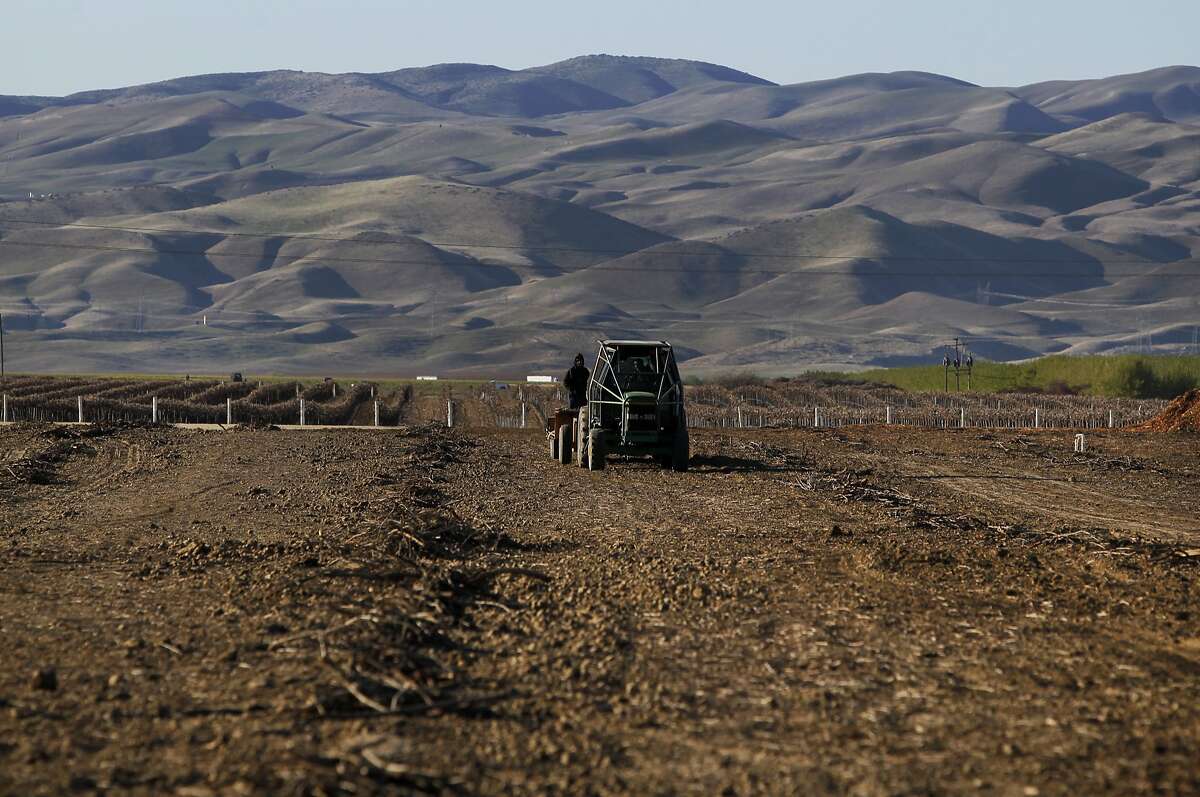 California drought How water crisis is worse for almonds
