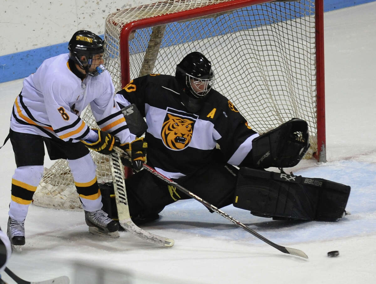 Amity falls short in bid for Division II hockey title