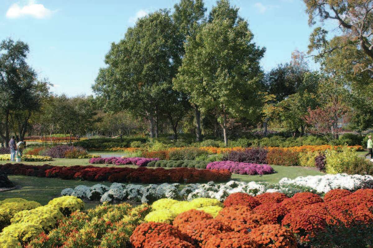 Gardens around Texas