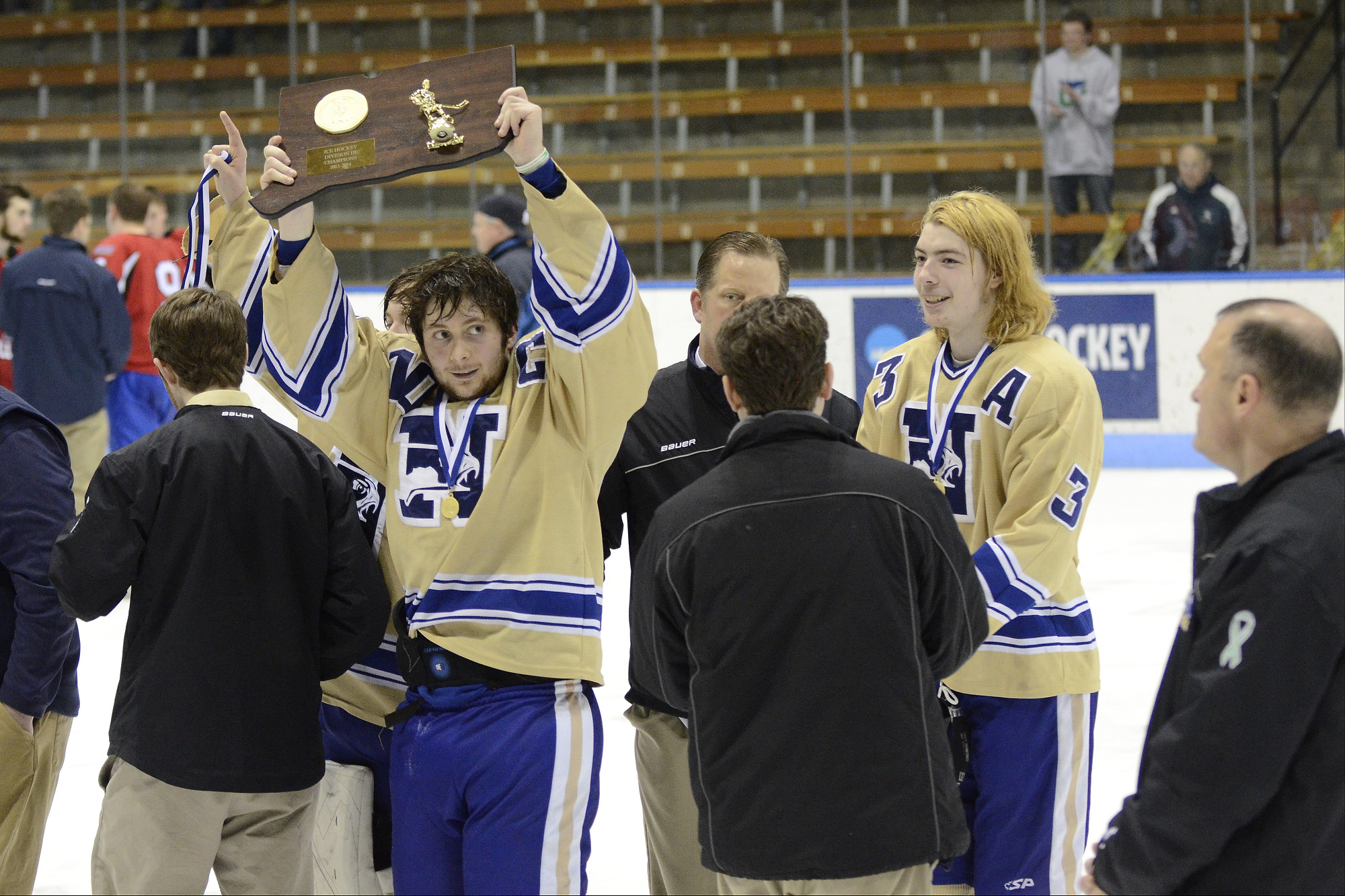 Newtown wins Division III hockey championship