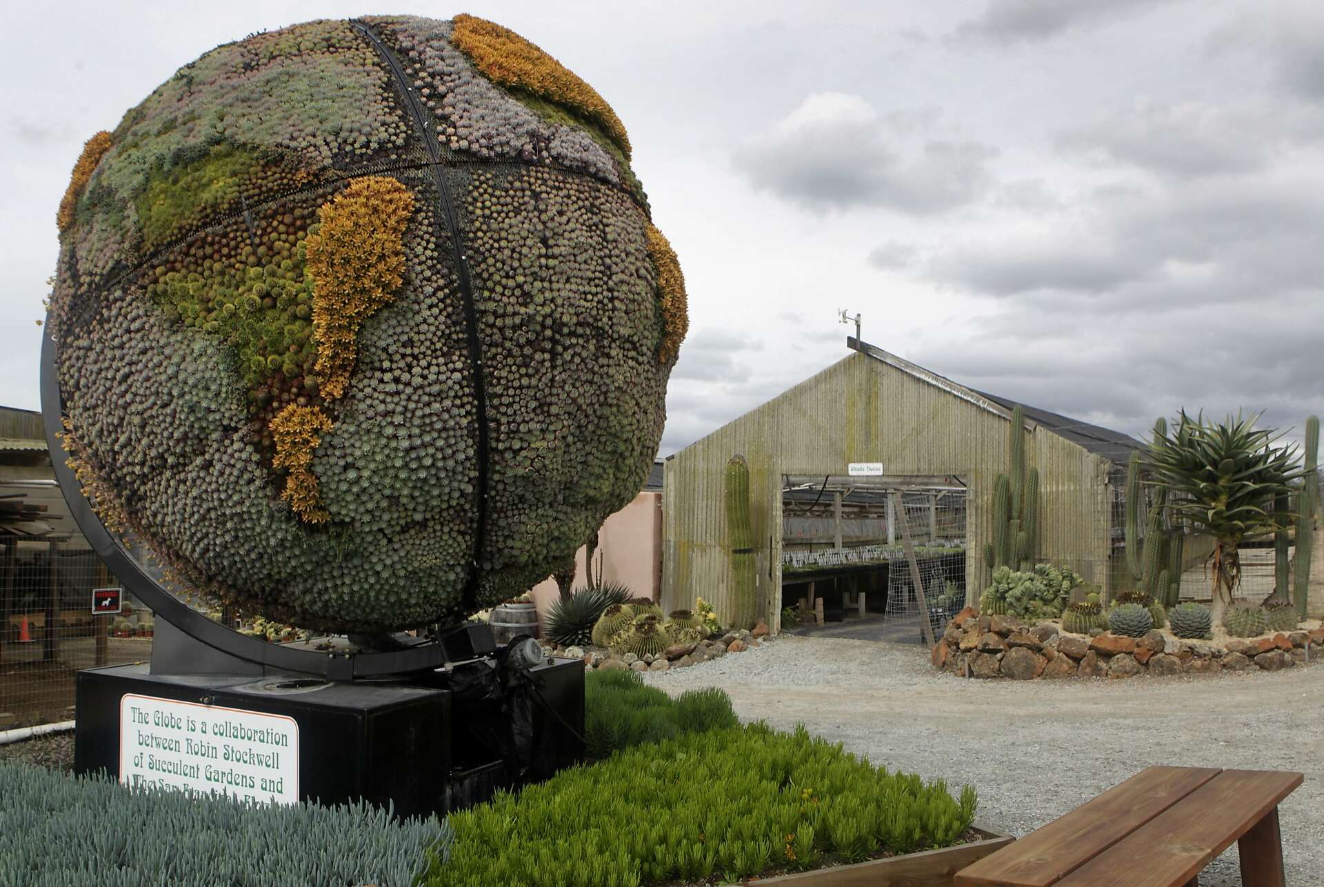 Succulent Gardens in Castroville offers about 750 varieties